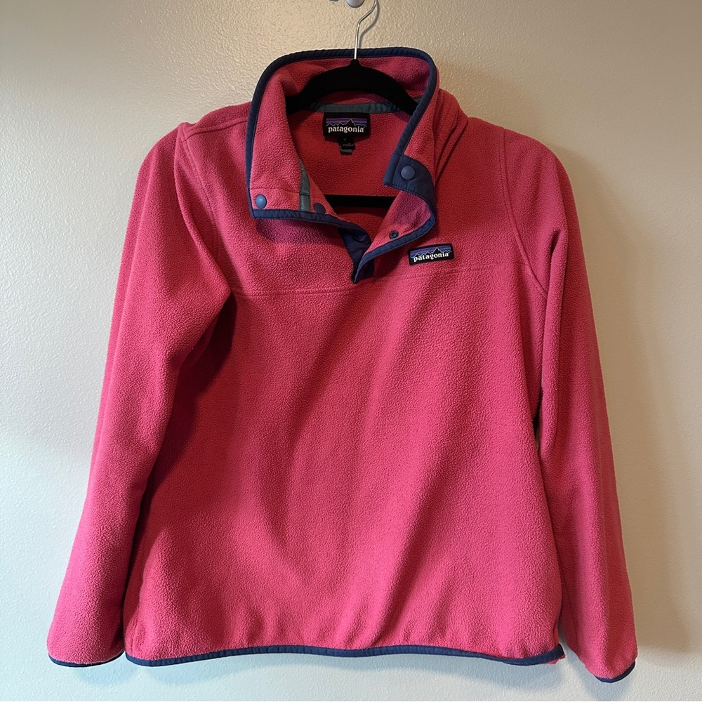 Patagonia Micro Snap Fleece